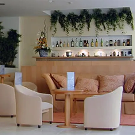 Hotel Tryp By Wyndham Centro 3*
